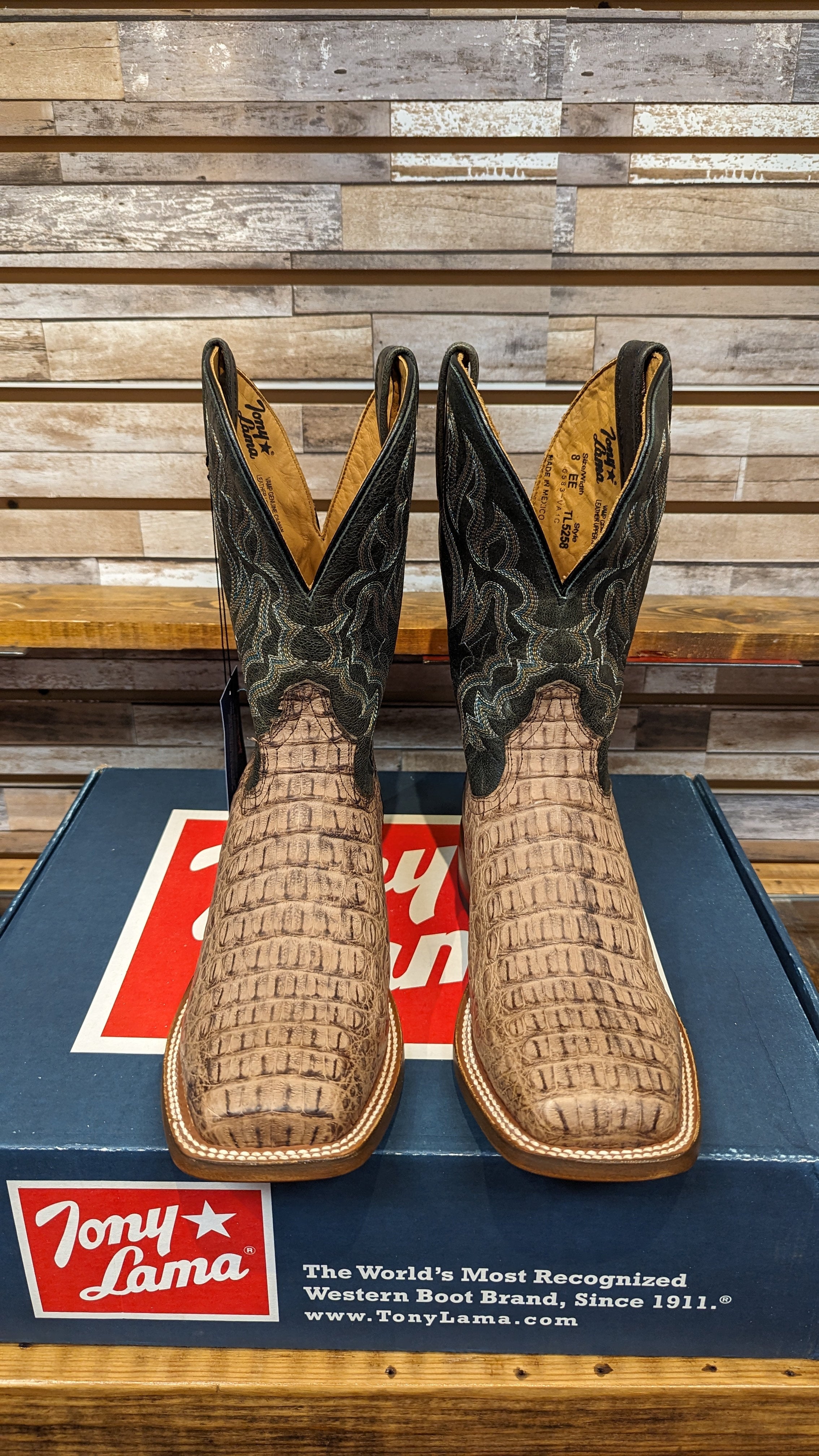 Tony Lama 8EE カイマン Tony Lama MARFA CAIMAN BONE SQUARE TOE WESTERN BOOTS - TL5258