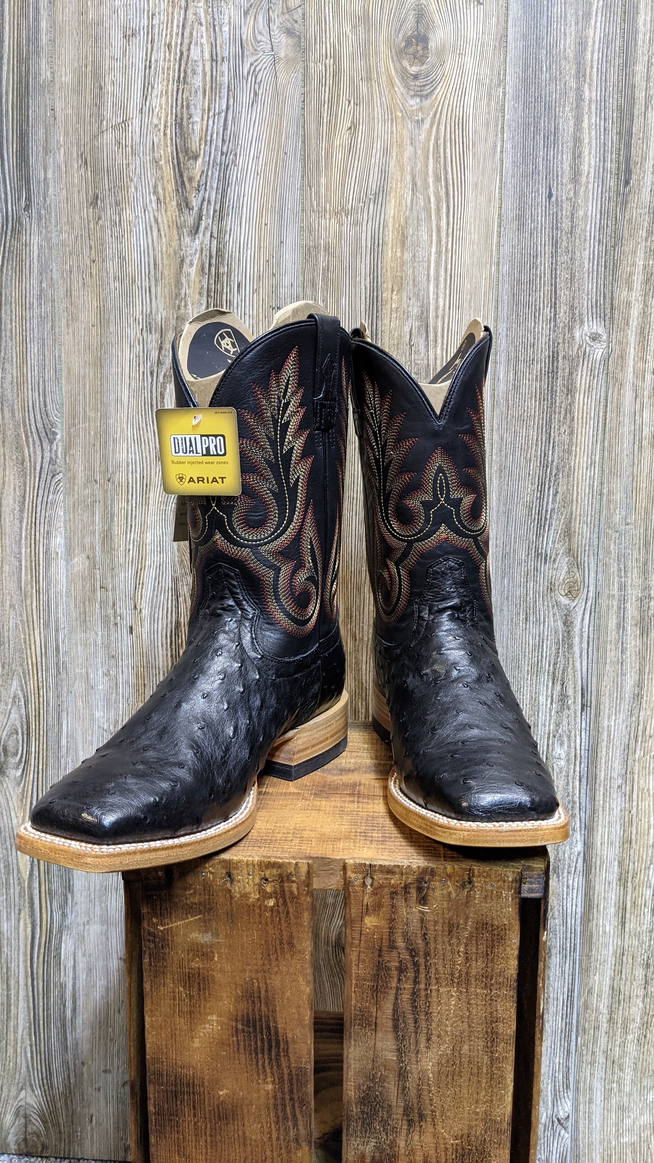 Ariat Barker Full Quill Black Ostrich Square Toe Western Boots - 10031577