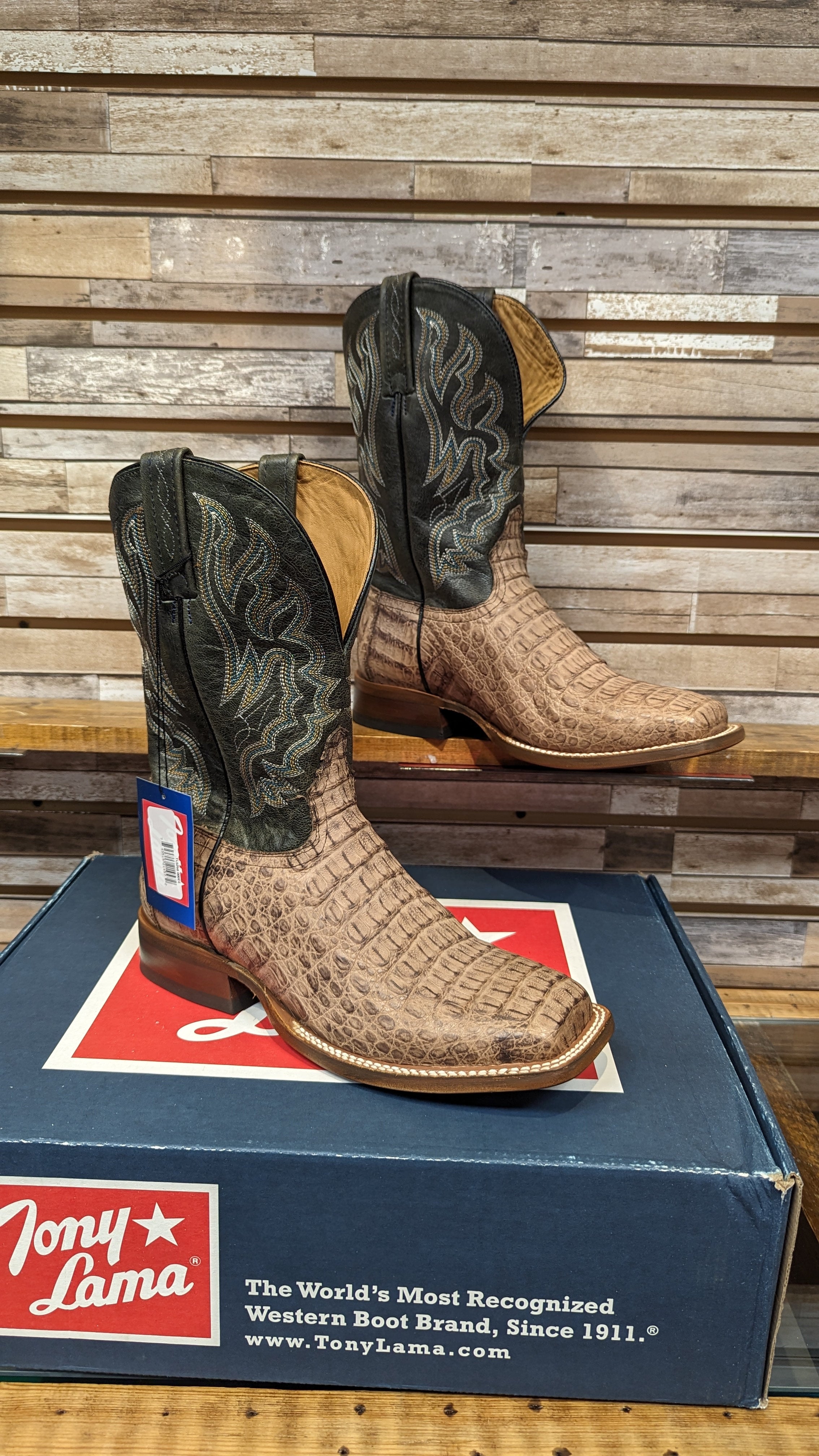 Tony lama caiman boots square toe outlet